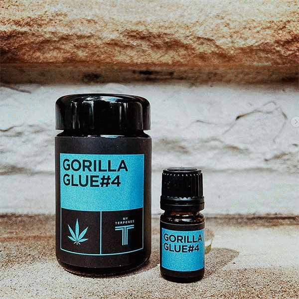 Premium extraction tools with fast shipping Australia-wide for labs & enthusiasts