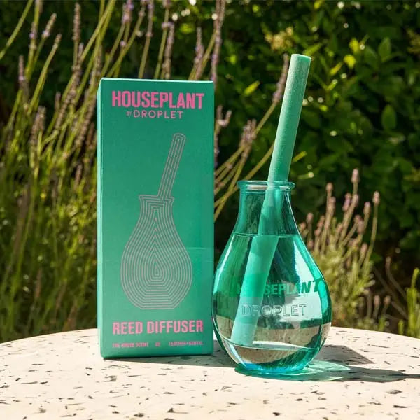Houseplant by Droplet The House Scent Reed Diffuser – Luxury Home Fragrance - box